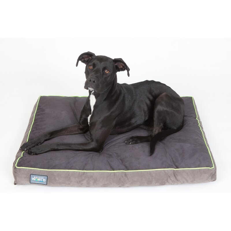 Shops better world dog beds